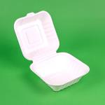 Caserola hamburger bio din trestie 50 buc/set