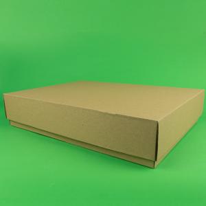 Cutie cu capac detasabil 100 buc/set natur 325X300X65 mm