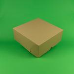 CUTII TORT CT3* 25 BUC/SET NATUR 300x300x120