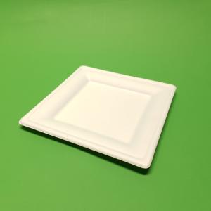 Farfurii bio din trestie de zahar patrate 20cm 50buc/set