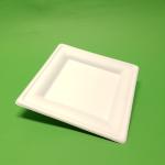 Farfurii bio din trestie de zahar patrate 20cm 50buc/set