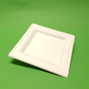 Farfurii bio din trestie de zahar patrate 20cm 50buc/set