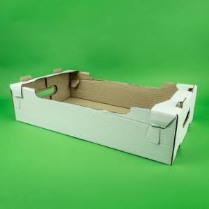 Ladita transport 50 buc/set  CO5, alb 610X400X150 mm