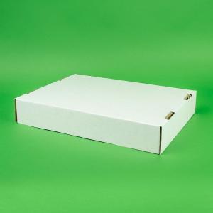 Tavite carton ondulat 100 buc/set alb 305X225X50 mm