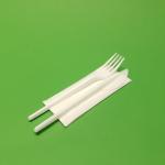 SET TACAMURI BIS CPLA COMPOSTABILE  (2 TACAMURI + SERVETEL) 100 BUC/SET
